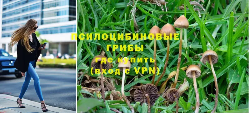 Псилоцибиновые грибы MAGIC MUSHROOMS  Енисейск 